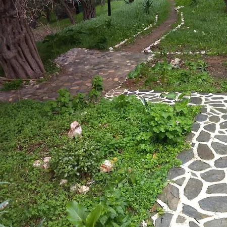 Summer Sunrise * Ándros