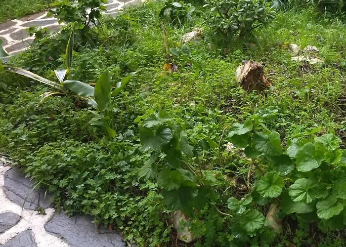 Summer Sunrise Ándros