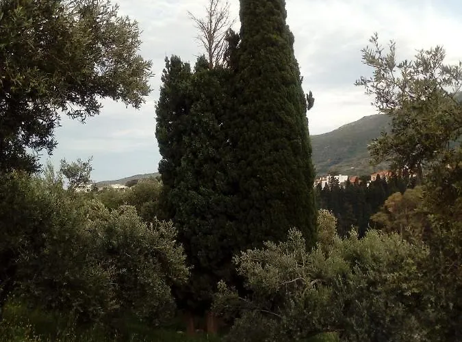 Lägenhet Summer Sunrise *