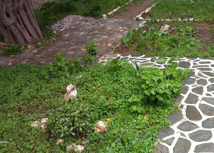 Summer Sunrise * Ándros